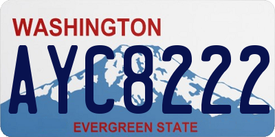 WA license plate AYC8222