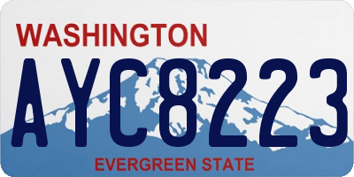 WA license plate AYC8223