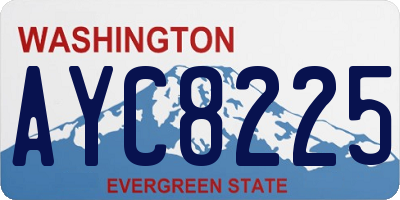 WA license plate AYC8225