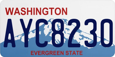 WA license plate AYC8230
