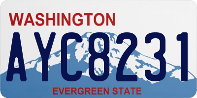 WA license plate AYC8231
