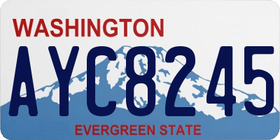 WA license plate AYC8245