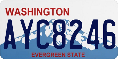 WA license plate AYC8246