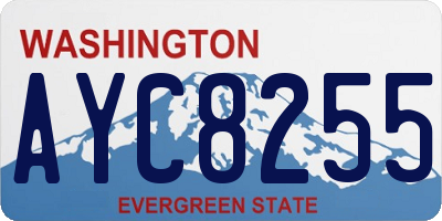 WA license plate AYC8255