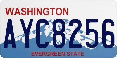 WA license plate AYC8256