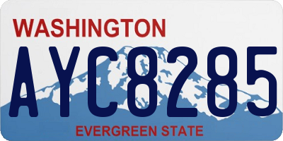 WA license plate AYC8285