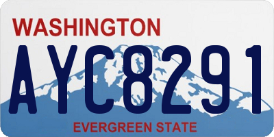 WA license plate AYC8291