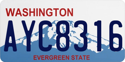 WA license plate AYC8316