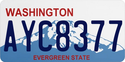 WA license plate AYC8377