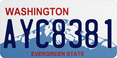 WA license plate AYC8381