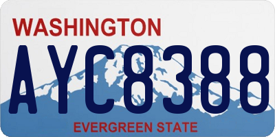 WA license plate AYC8388