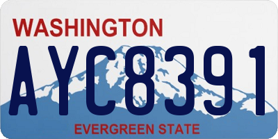 WA license plate AYC8391