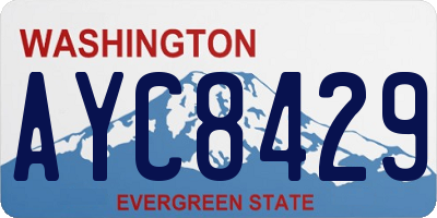 WA license plate AYC8429