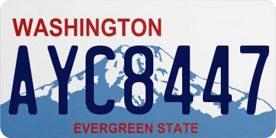 WA license plate AYC8447