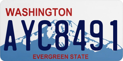 WA license plate AYC8491