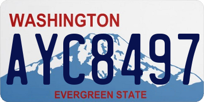 WA license plate AYC8497