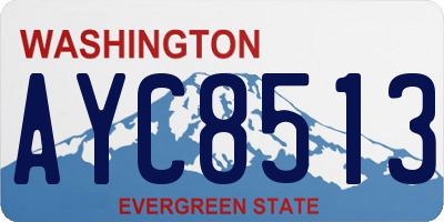 WA license plate AYC8513