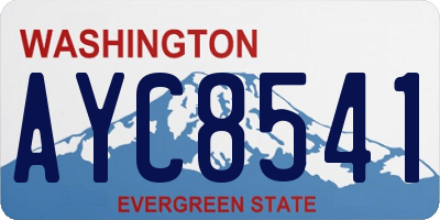 WA license plate AYC8541