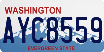 WA license plate AYC8559