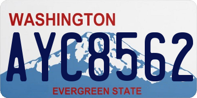 WA license plate AYC8562