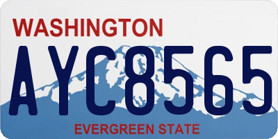 WA license plate AYC8565