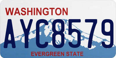 WA license plate AYC8579