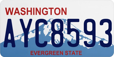 WA license plate AYC8593