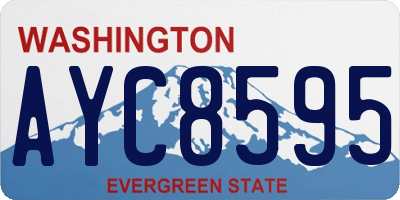 WA license plate AYC8595