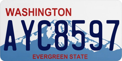WA license plate AYC8597