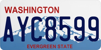 WA license plate AYC8599