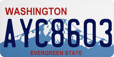 WA license plate AYC8603