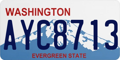 WA license plate AYC8713