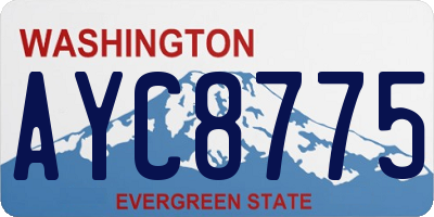WA license plate AYC8775