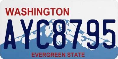 WA license plate AYC8795