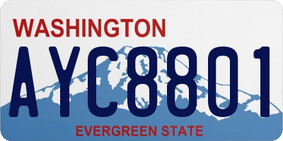 WA license plate AYC8801