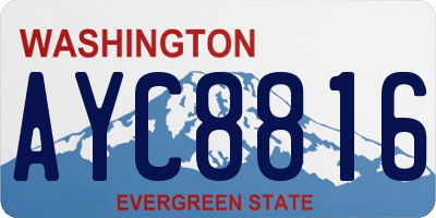 WA license plate AYC8816