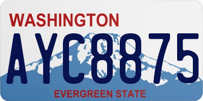 WA license plate AYC8875