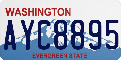WA license plate AYC8895