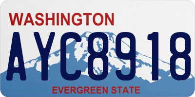 WA license plate AYC8918