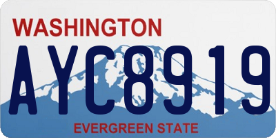 WA license plate AYC8919