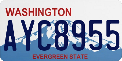 WA license plate AYC8955