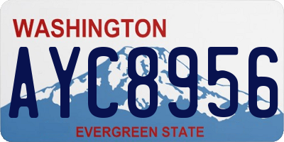 WA license plate AYC8956