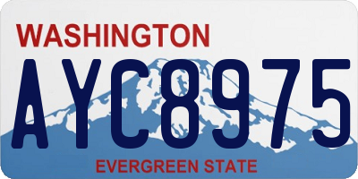 WA license plate AYC8975