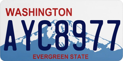 WA license plate AYC8977