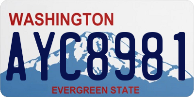 WA license plate AYC8981