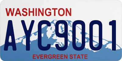 WA license plate AYC9001