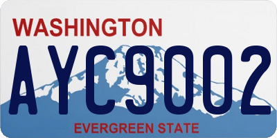 WA license plate AYC9002