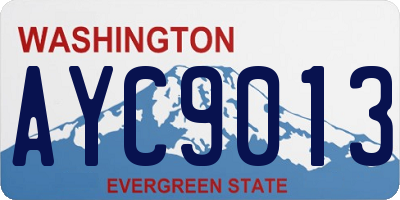 WA license plate AYC9013