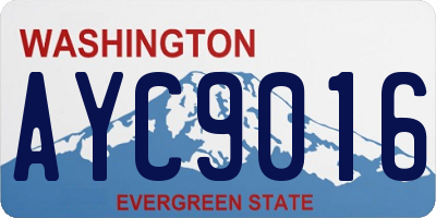 WA license plate AYC9016