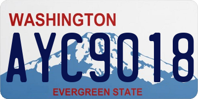 WA license plate AYC9018